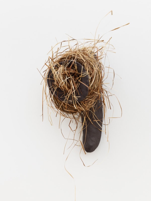 Solange Pessoa, Untitled, 2019
