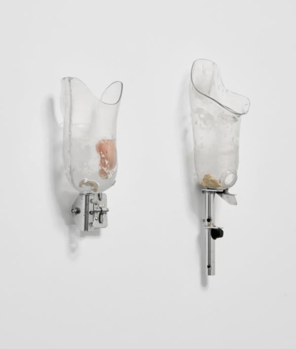 Berenice Olmedo, Haec, 2021