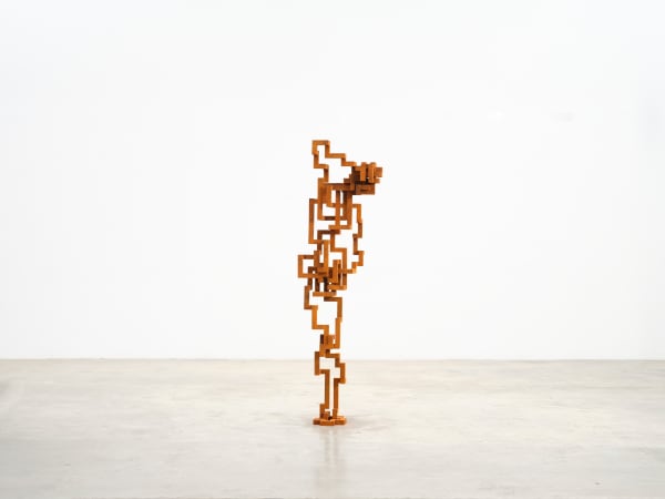 Antony Gormley, THREAD, 2022
