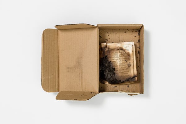 Paulo Nazareth, Palavra de Deus, 2016