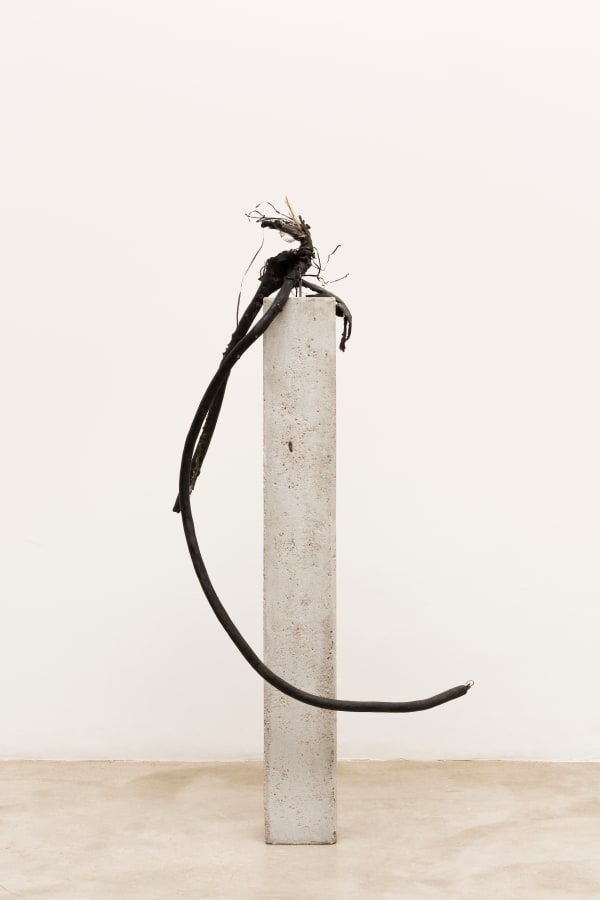 Nina Canell, Brief Syllable (Dry), 2017