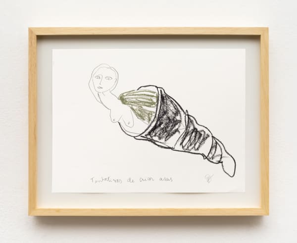 Rosana Paulino, Attempt to Create Wings, from the Sketchbook of Flying Possibilities (Real or Imaginary) or Sketchbook of Winged Figures), first decade of 2000