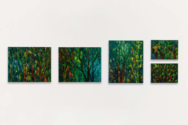 Edgar Calel, Rua Wachoch (rostro de mi casa), 2024