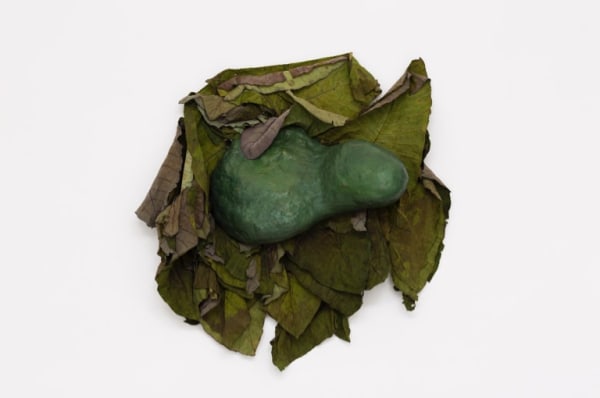 Solange Pessoa, Untitled, 2005