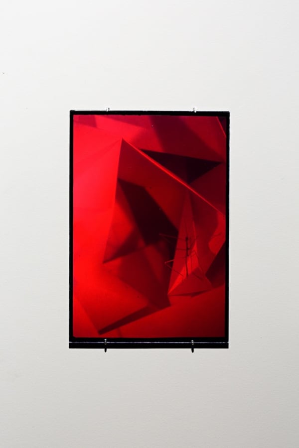 Daniel Steegmann Mangrané, Holograma 6 (estrutura com bicho), 2013