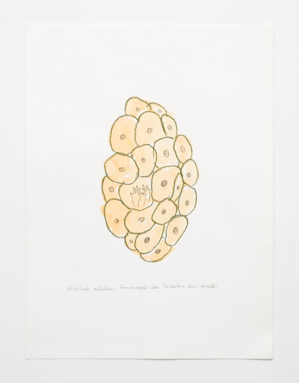 Rosana Paulino, Divisão celular, 2001