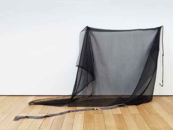 Adriano Costa, SIAMESE SISTERS, 2021-2022
