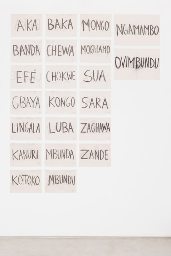 Paulo Nazareth, Central África, 2017