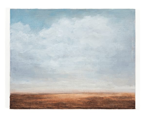 Lucas Arruda, Sem Título, 2012