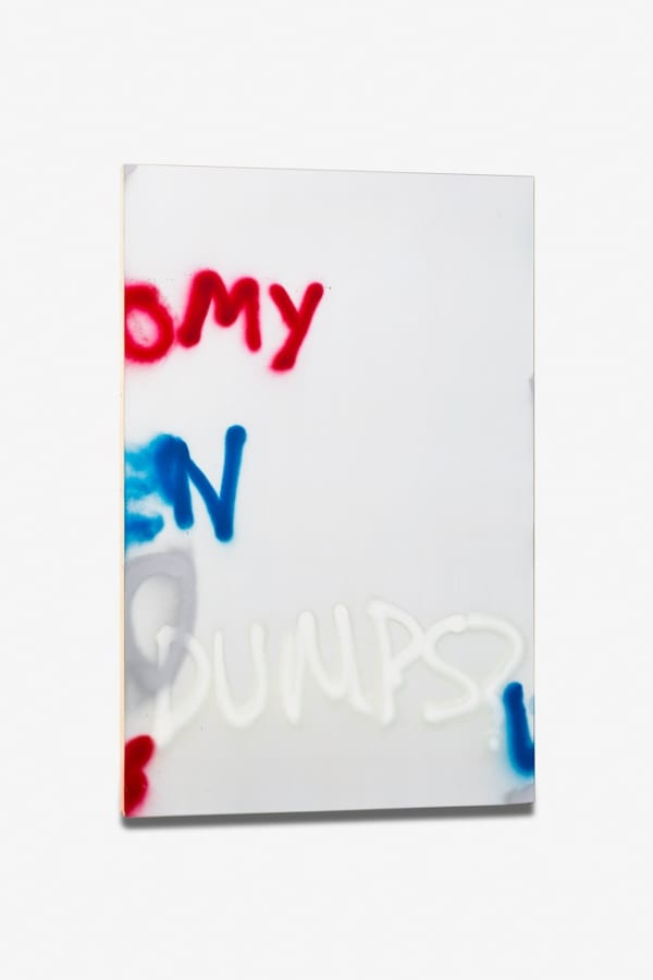 Stefan Bruggemann, Dumps, 2013