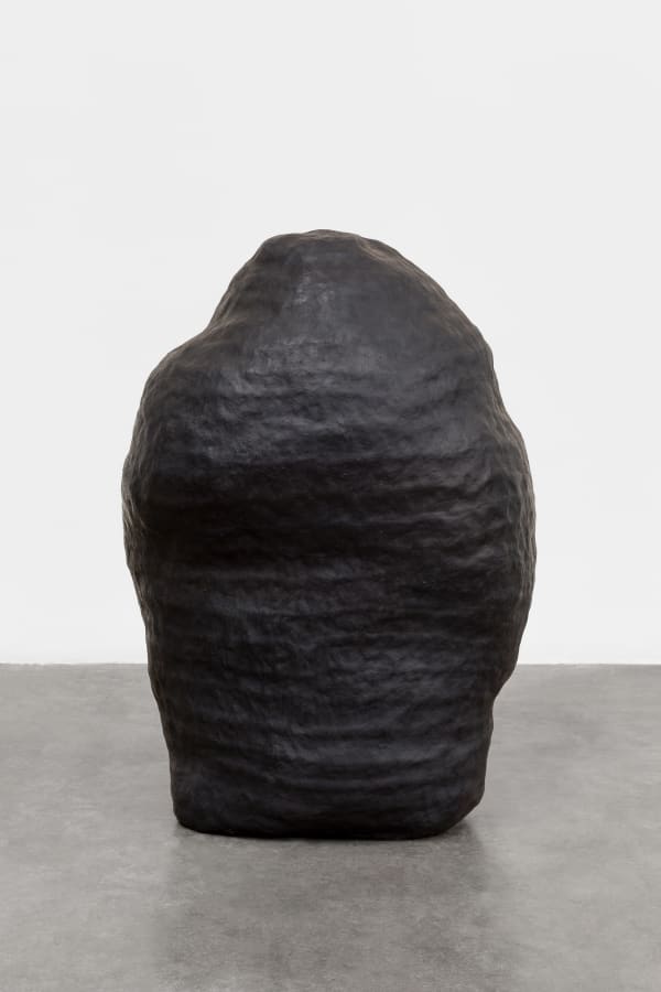 Solange Pessoa, Untitled | Sem título, 2019 - 2024