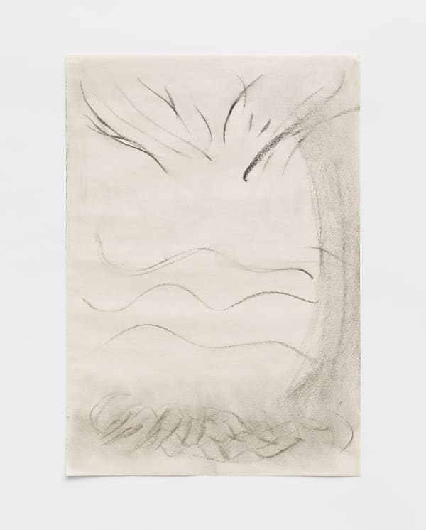 Akiko Kinugawa, Untitled | Sem título, 2025