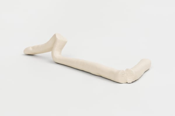 Paulo Monteiro, Untitiled | Sem título, 2017