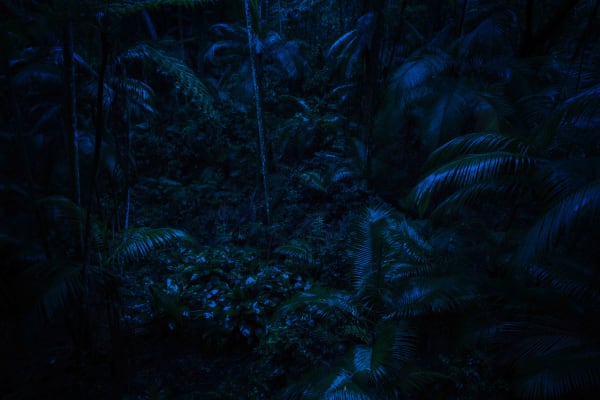 Maria Loboda, Day for night, 2014