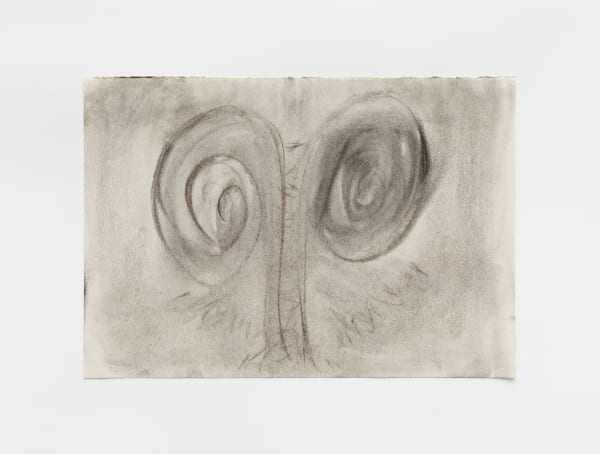 Akiko Kinugawa, Untitled | Sem título, 2025