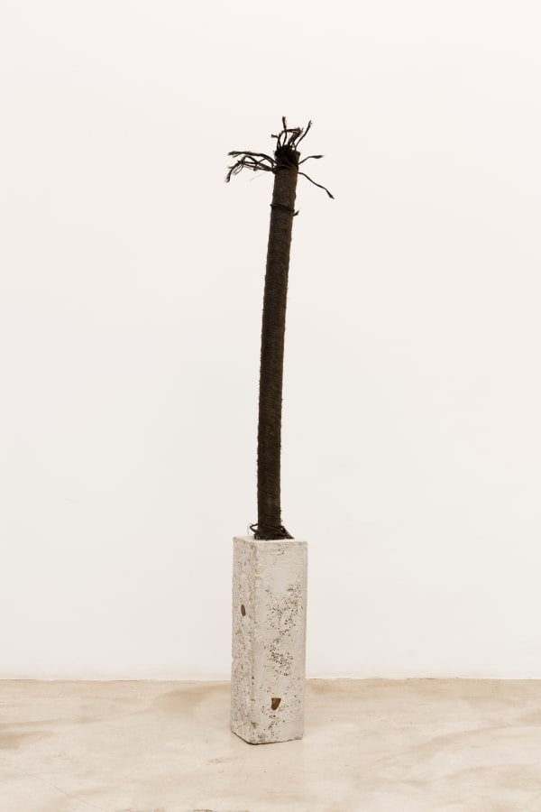 Nina Canell, Brief Syllable (Burnt), 2017