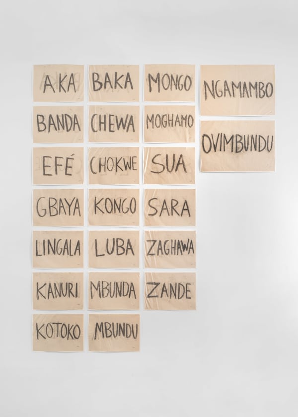 Paulo Nazareth, Central África, 2017