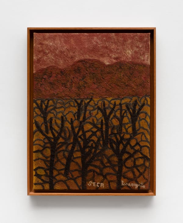 Amadeo Luciano Lorenzato, Seca, 1980s