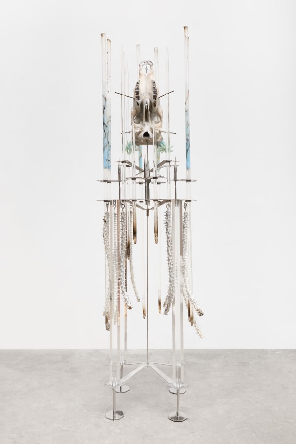 Adriano Amaral, Untitled | Sem título, 2025