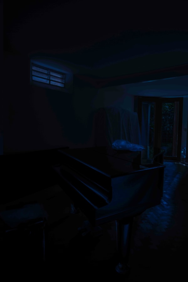 Maria Loboda, Day for night, 2014