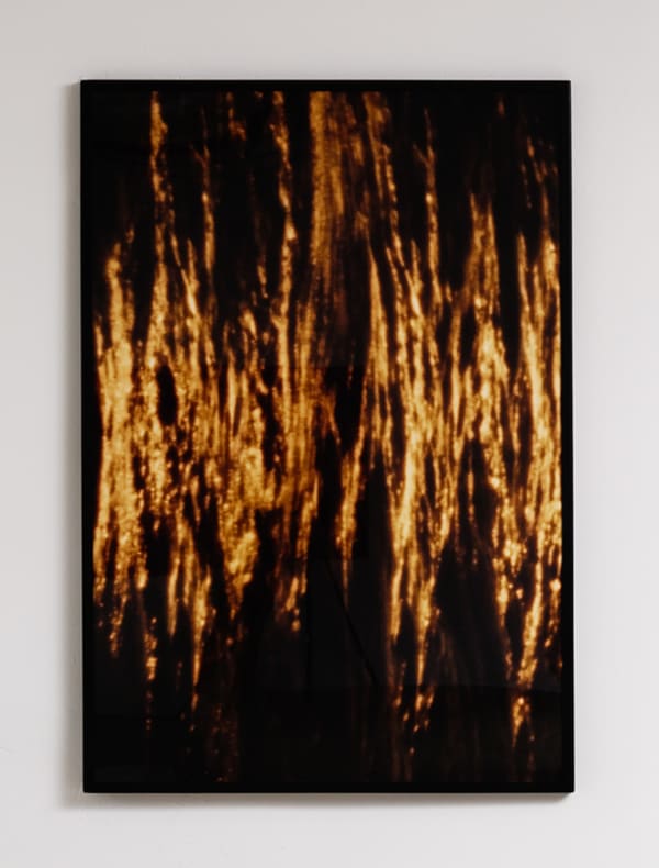 Luiz Roque, Brest, 2020