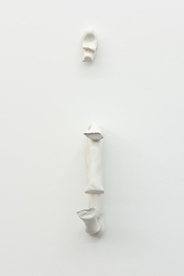 Paulo Monteiro, Untitled, 2019