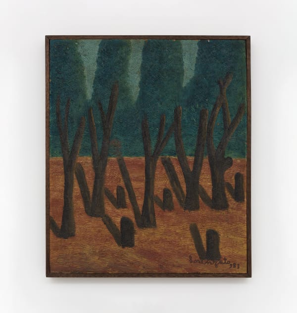 Amadeo Luciano Lorenzato, Untitled, 1983