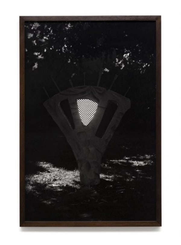 Luiz Roque & Erika Verzutti, Videoarte, 2017