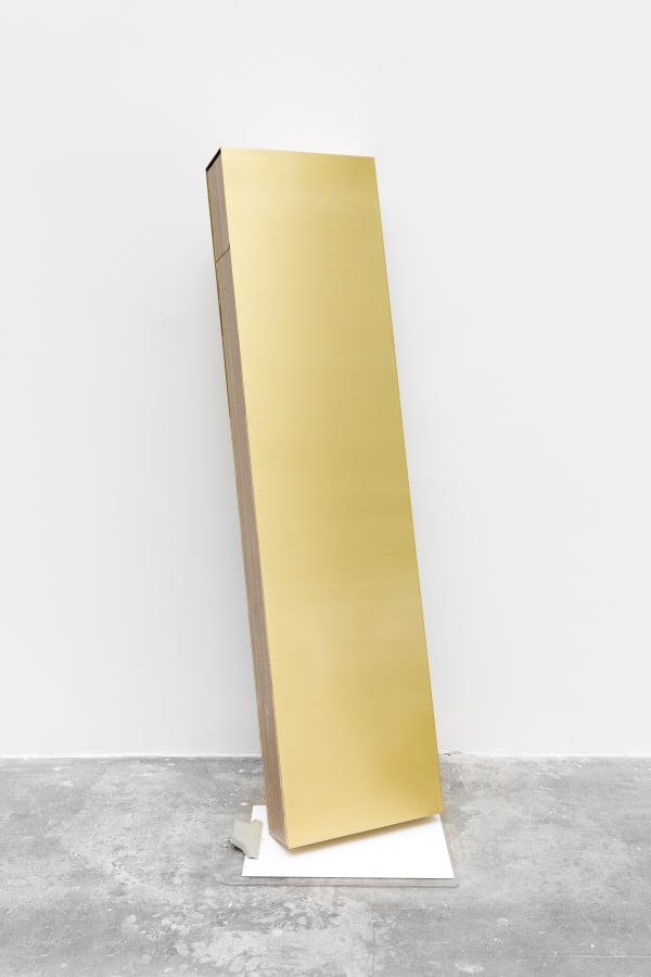 Adriano Costa, cracked secretary, 2023