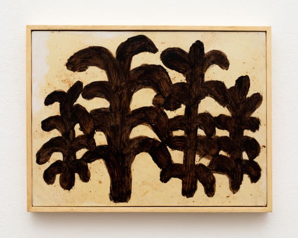 Solange Pessoa, Untitled, 2013 - 2017