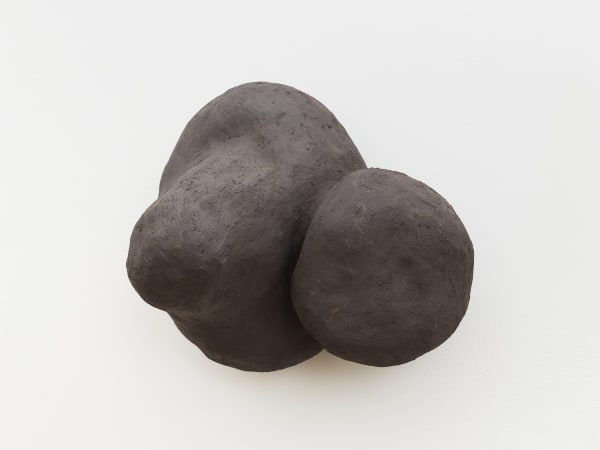 Solange Pessoa, Floraceas, 2019