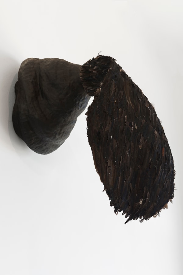 Solange Pessoa, Untitled | Sem título, 2018