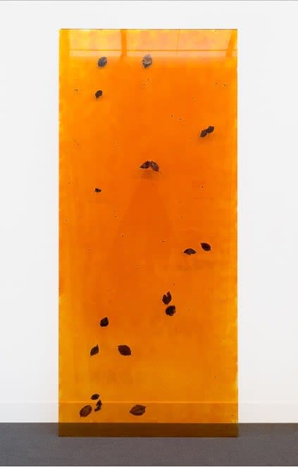 Daniel Steegmann Mangrané, still untitled, 2015