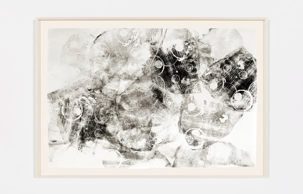 Mariana Castillo Deball, Zoomorph G Imprint 10, 2013