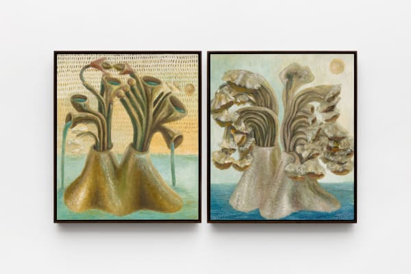 Rayana Rayo, Enquanto as horas passam, 2025