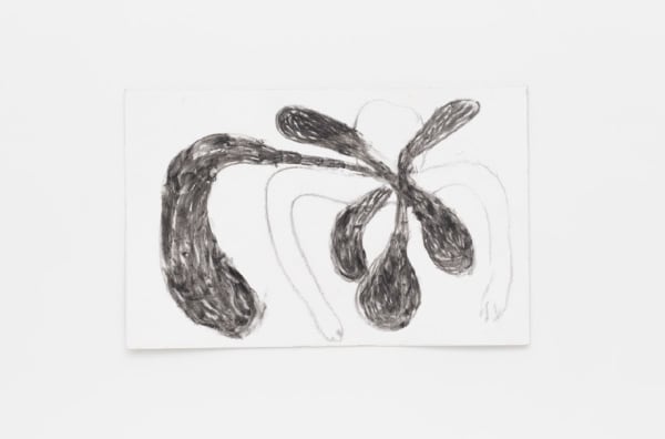 Solange Pessoa, Sem título, 2009