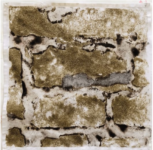 Carlos Vergara, Série Valongo, 2019