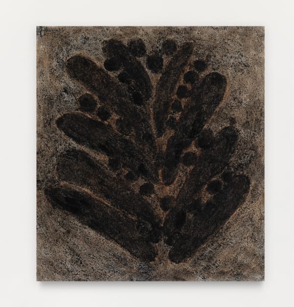 Solange Pessoa, Frugívoros, 2020-2021