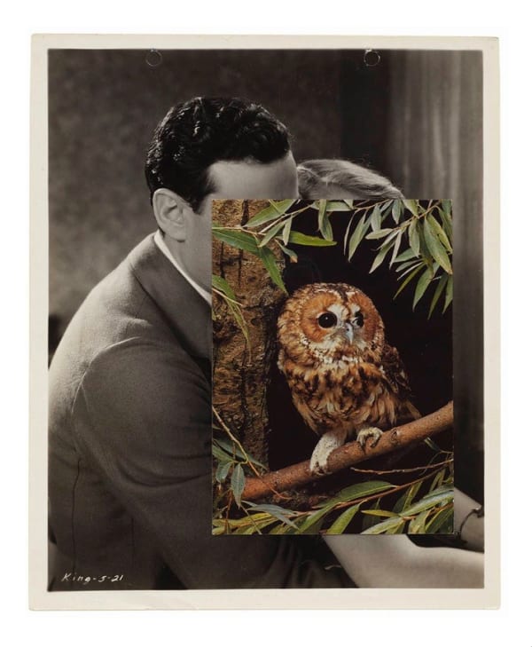John Stezaker, Nest VIII, 2007