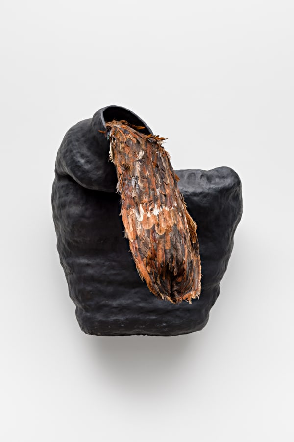 Solange Pessoa, Untitled | Sem título, 2019 - 2024