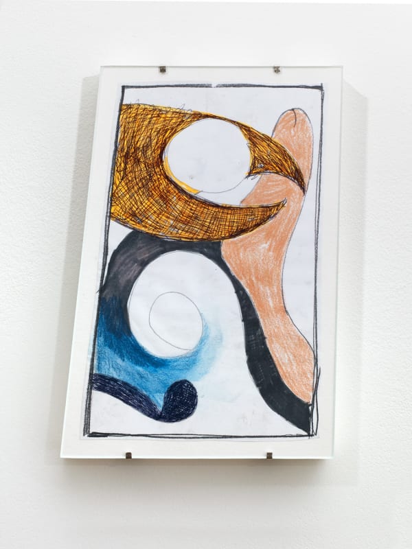 Adriano Costa, SurrealisticPenis, 2016