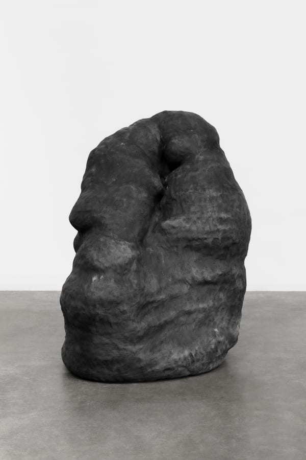 Solange Pessoa, Untitled | Sem título, 2019 - 2024