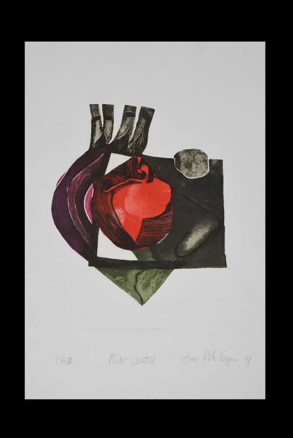 Anna Bella Geiger, Ponto Central - Coração, da série Fase Visceral, 1968