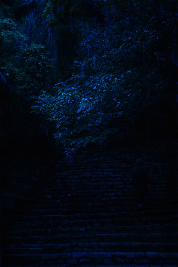 Maria Loboda, Day for night, 2014