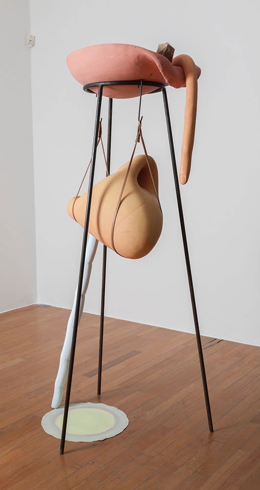 Tunga, Sem título, 2014