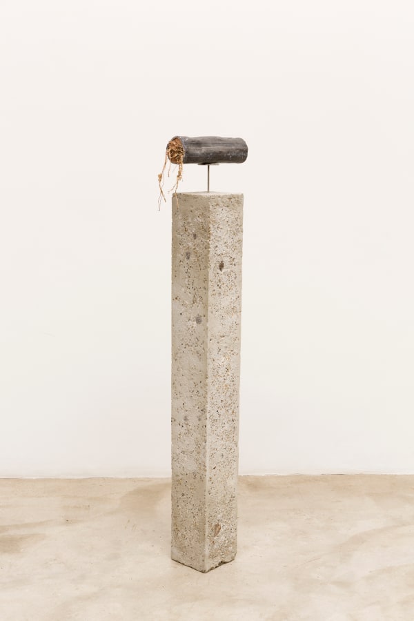 Nina Canell, Brief Syllable (Dehydrated), 2017