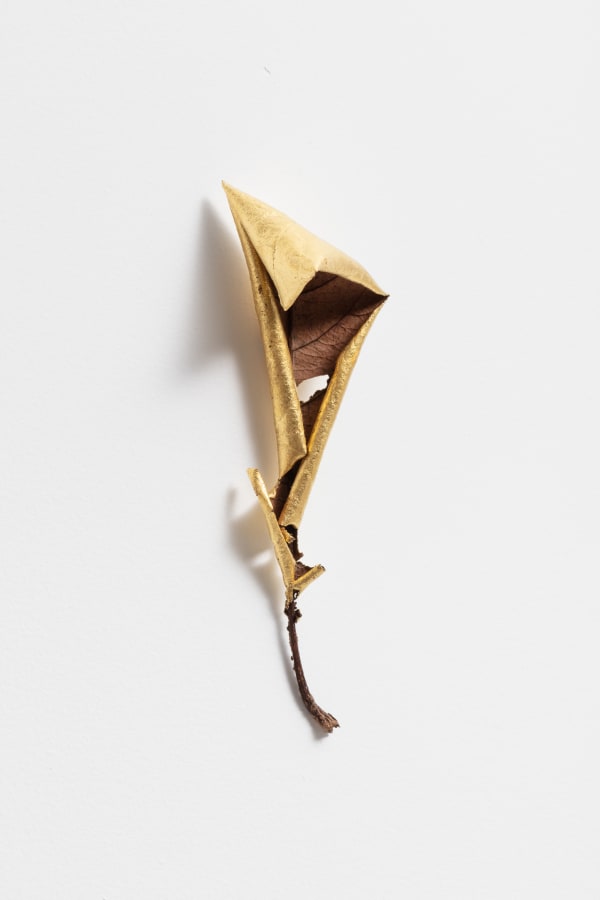 Daniel Steegmann Mangrané, Mask, 2021
