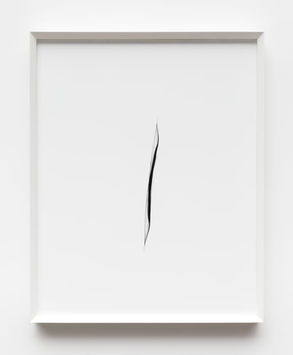 Leticia Ramos, PHOTODRAWING, 2021