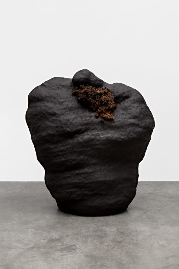 Solange Pessoa, Untitled | Sem título, 2019 - 2024