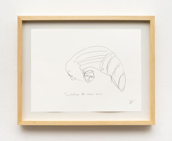 Rosana Paulino, Attempt to Create Wings, from the Sketchbook of Flying Possibilities (Real or Imaginary) or Sketchbook of Winged Figures), first decade of 2000